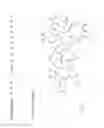 Fig. 15 - Compositions and methods of use for (pro)renin receptor antagonists
