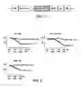 Fig. 02 - Therapeutical tools and methods for treating blindness