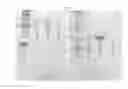 Fig. 06 - Compositions and Formulations and Methods of Production and Use Thereof