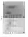 Fig. 50 - Compositions and Formulations and Methods of Production and Use Thereof
