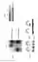 Fig. 05 - Treatment with methylation-controlled J protein (MCJ)