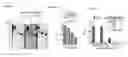 Fig. 09 - Compositions and methods for adjoining type I and type II extracellular domains as heterologous chimeric proteins