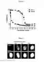 Fig. 02 - METHOD OF TREATING NEOPLASIAS