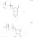 Fig. 25 - MODIFIED NUCLEOSIDE, NUCLEOTIDE, AND NUCLEIC ACID COMPOSITIONS