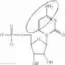 Fig. 83 - MODIFIED NUCLEOSIDE, NUCLEOTIDE, AND NUCLEIC ACID COMPOSITIONS