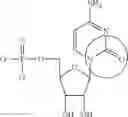 Fig. 84 - MODIFIED NUCLEOSIDE, NUCLEOTIDE, AND NUCLEIC ACID COMPOSITIONS