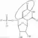 Fig. 85 - MODIFIED NUCLEOSIDE, NUCLEOTIDE, AND NUCLEIC ACID COMPOSITIONS