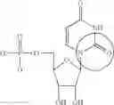 Fig. 86 - MODIFIED NUCLEOSIDE, NUCLEOTIDE, AND NUCLEIC ACID COMPOSITIONS