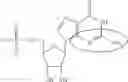 Fig. 90 - MODIFIED NUCLEOSIDE, NUCLEOTIDE, AND NUCLEIC ACID COMPOSITIONS