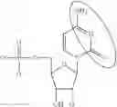 Fig. 91 - MODIFIED NUCLEOSIDE, NUCLEOTIDE, AND NUCLEIC ACID COMPOSITIONS
