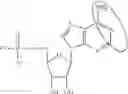 Fig. 93 - MODIFIED NUCLEOSIDE, NUCLEOTIDE, AND NUCLEIC ACID COMPOSITIONS