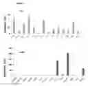 Fig. 01 - MODIFIED CHEMOKINE PEPTIDE