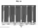 Fig. 35 - Immunogenic compositions and uses thereof