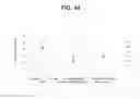 Fig. 47 - Immunogenic compositions and uses thereof