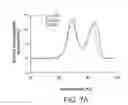 Fig. 07 - Factor H binding proteins (FHBP) with altered properties and methods of use thereof
