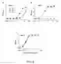 Fig. 09 - Factor H binding proteins (FHBP) with altered properties and methods of use thereof