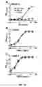 Fig. 12 - Factor H binding proteins (FHBP) with altered properties and methods of use thereof