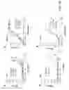Fig. 34 - Factor H binding proteins (FHBP) with altered properties and methods of use thereof