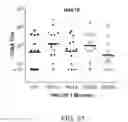 Fig. 35 - Factor H binding proteins (FHBP) with altered properties and methods of use thereof
