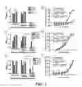 Fig. 02 - Chimeric dengue virus E glycoproteins comprising mutant domain I and domain II hinge regions