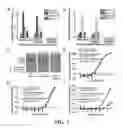 Fig. 03 - Chimeric dengue virus E glycoproteins comprising mutant domain I and domain II hinge regions