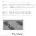 Fig. 05 - Chimeric dengue virus E glycoproteins comprising mutant domain I and domain II hinge regions
