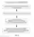 Fig. 04 - Compositions containing ambient-temperature stable, inactivated but therapeutically active biopharmaceuticals and methods for formulation thereof