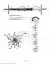 Fig. 02 - HIV immune stimulating compositions comprising recombinantly expressed pili on bacteria and methods related thereto