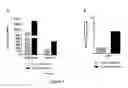 Fig. 04 - Poxviral vaccines