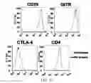 Fig. 06 - Modulation of the immune response