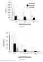 Fig. 07 - Modulation of the immune response