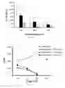 Fig. 08 - Modulation of the immune response