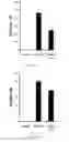 Fig. 16 - Modulation of the immune response