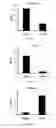 Fig. 20 - Modulation of the immune response