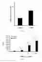 Fig. 23 - Modulation of the immune response