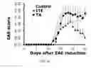 Fig. 27 - Modulation of the immune response