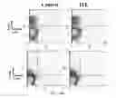 Fig. 47 - Modulation of the immune response