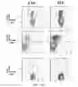 Fig. 50 - Modulation of the immune response