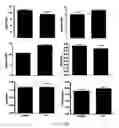 Fig. 52 - Modulation of the immune response