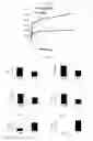 Fig. 57 - Modulation of the immune response