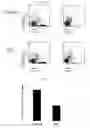 Fig. 60 - Modulation of the immune response