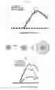 Fig. 65 - Modulation of the immune response