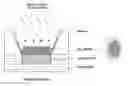 Fig. 01 - EMISSIVE POLYMERIC MATRICES