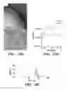Fig. 22 - Compositions for treating cancer and methods for making the same