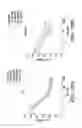 Fig. 40 - Compositions for treating cancer and methods for making the same
