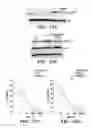 Fig. 43 - Compositions for treating cancer and methods for making the same