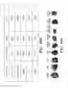 Fig. 45 - Compositions for treating cancer and methods for making the same