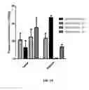 Fig. 83 - TARGETED XTEN CONJUGATE COMPOSITIONS AND METHODS OF MAKING SAME