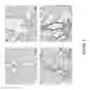 Fig. 02 - Ice-based lipid nanoparticle formulation for delivery of mRNA