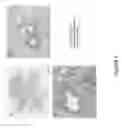 Fig. 07 - Ice-based lipid nanoparticle formulation for delivery of mRNA